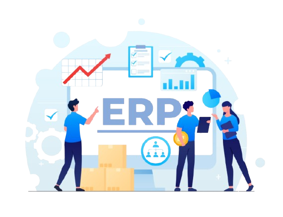 Third Party E.R.P. Maintenance